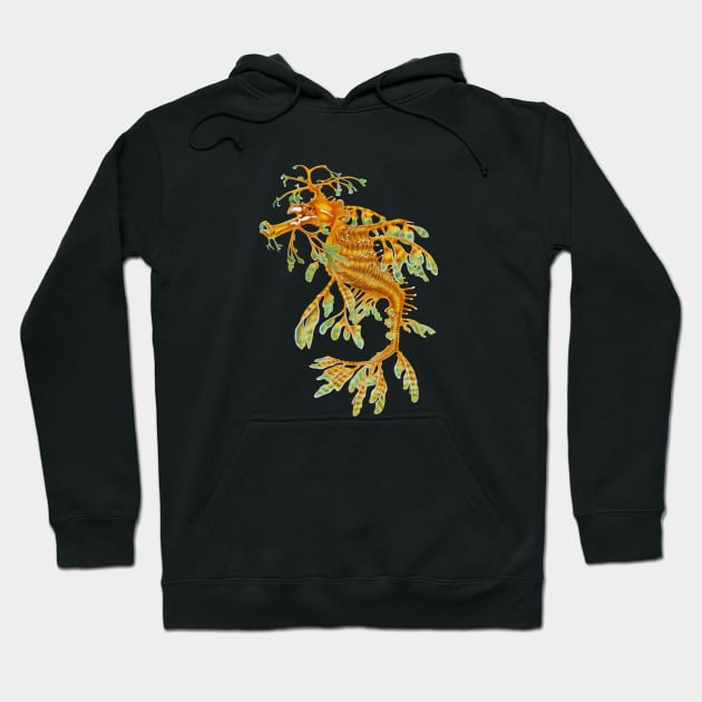 Leafy Seadragon Hoodie by Tim Jeffs Art